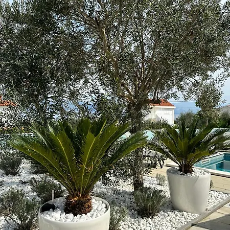 Apartman Marina