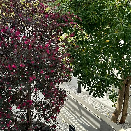 Apartman Marina *