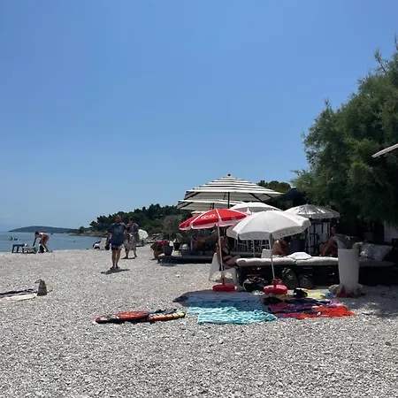 Marina * تروغير